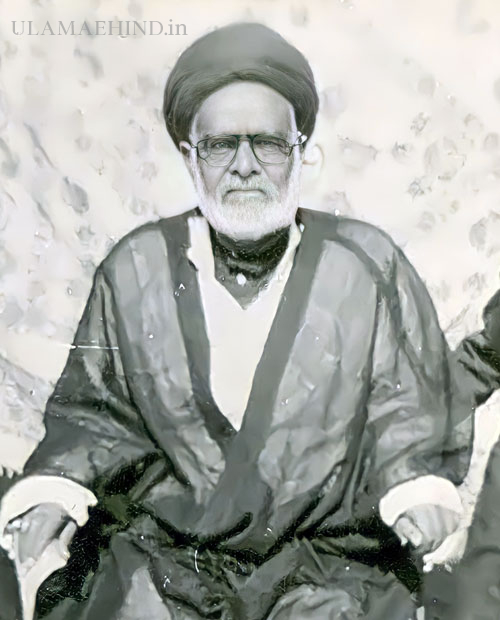حکیم مولانا سید ابوالحسن رضوی ره