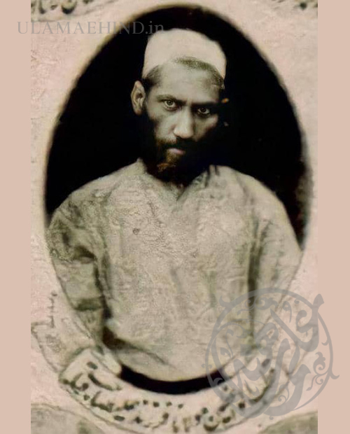 Maulana Farzand Ali Budhanvi