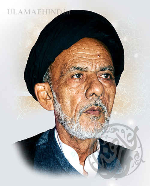Allama Syed Sarkar Haider Najfi
