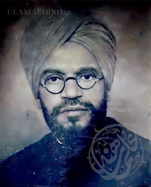 مولانا سید محمد سبطین سرسوی رہ